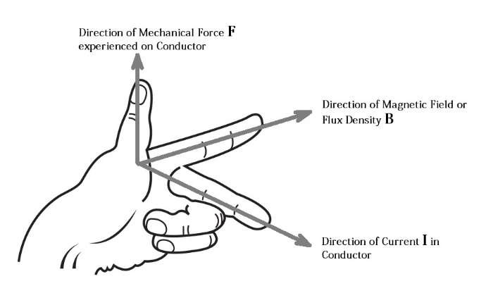 Clear anatomical illustration of Flemings left-hand rule.