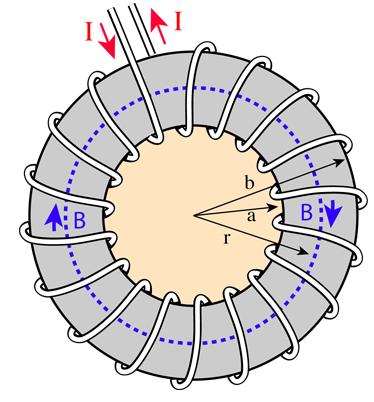 illustration of a toroid