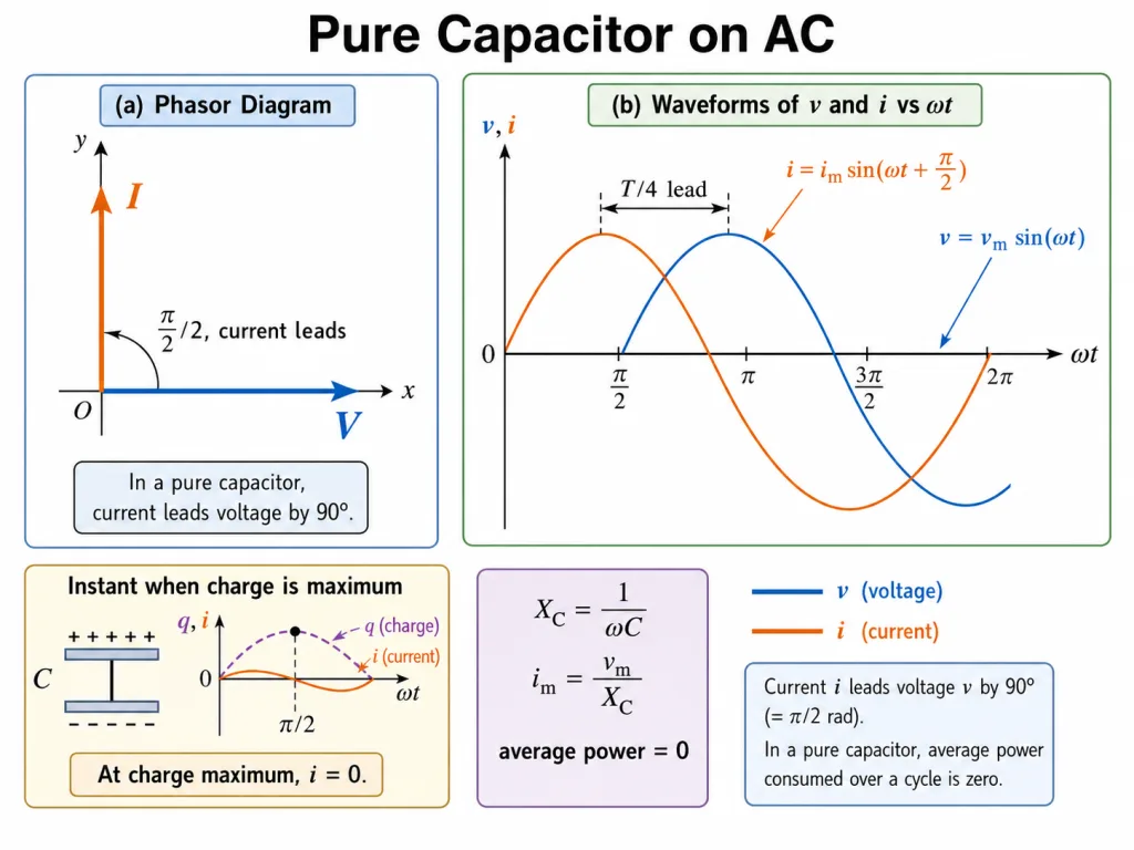 Phasor diagram and waveforms for AC through a pure capacitor