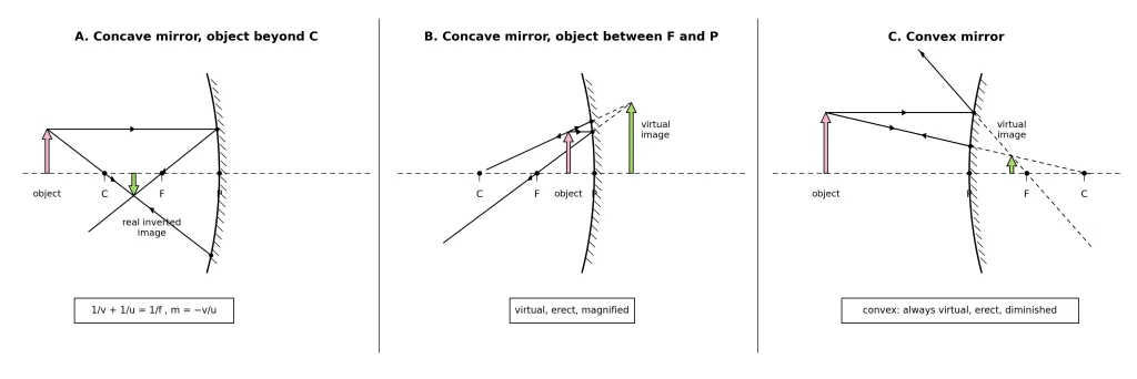 Ray diagrams and mirror equation cases for concave and convex mirrors
