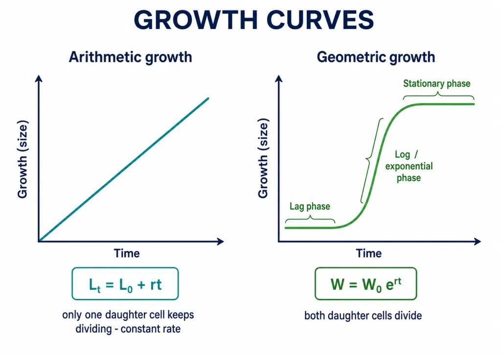 Arithmetic growth is linear; geometric growth gives an S-shaped sigmoid curve
