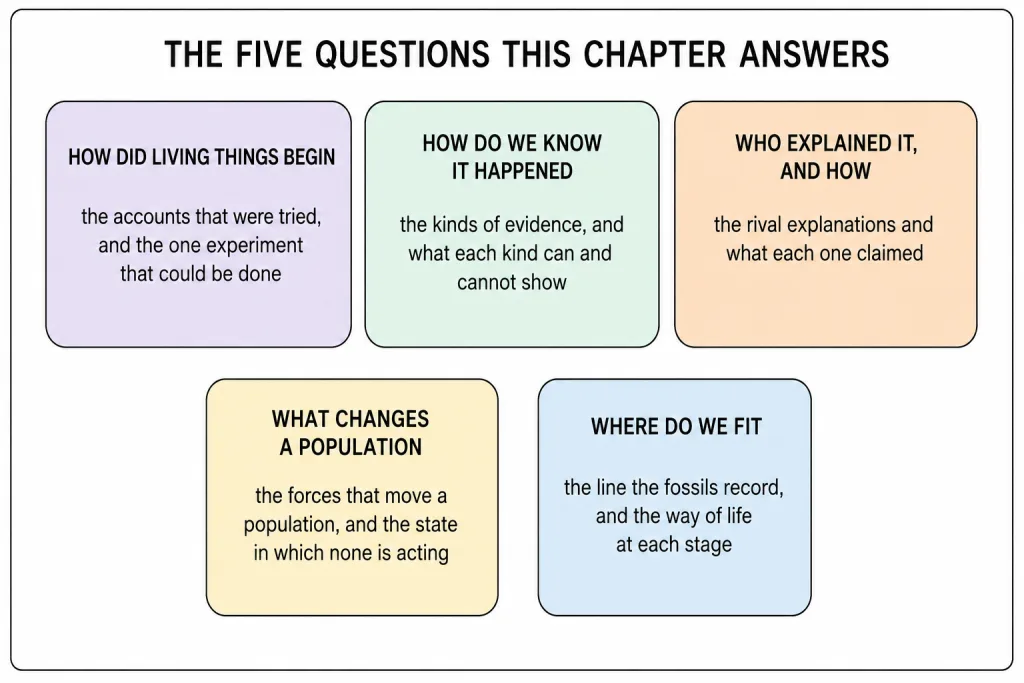 The five questions this chapter asks, set out as five labelled panels