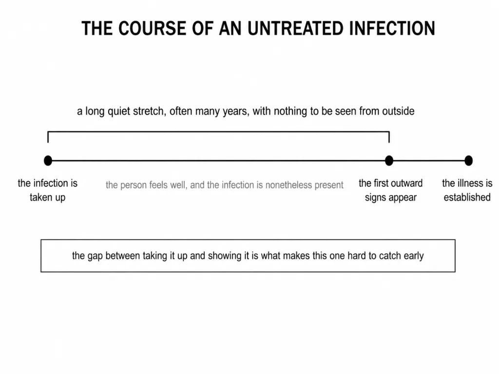 A bare timeline from infection through a long silent stretch to illness