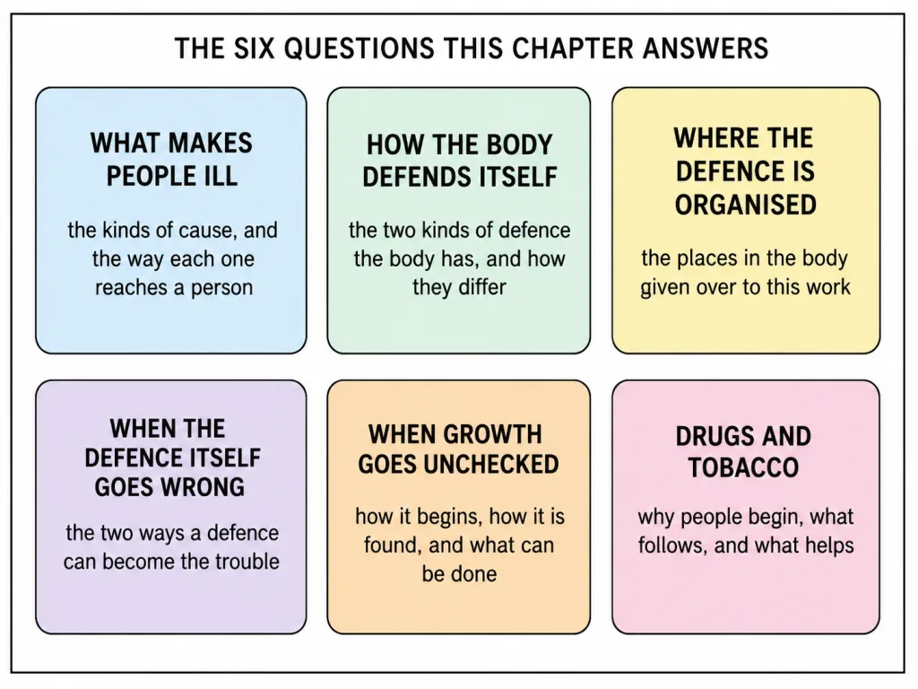 The six questions this chapter asks, set out as six labelled panels